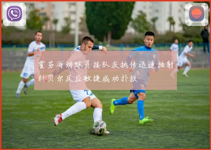 霍芬海姆球员接队友挑传迅速抽射科贝尔反应敏捷成功扑救